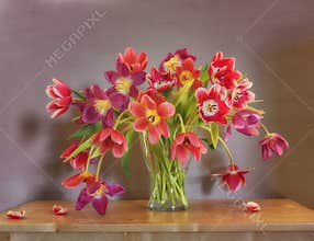 Still life with red and purple tulips