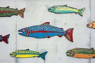 School Of Painted Salmon