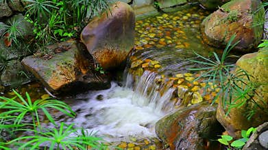 Small tropical waterfall in garden