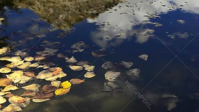 Video with reflection of autumn leaf and mountain on water