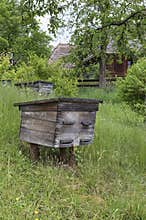Old wooden hives in the ancient apiary