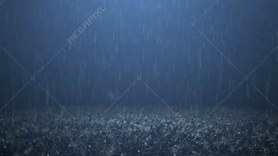 Rain