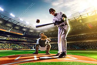 Professional baseball players on grand arena