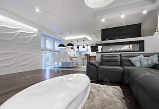 Modern interior design living room with kitchen