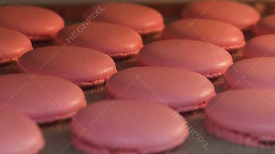 Macaron baking in oven