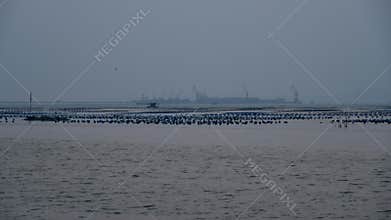 Time lapse of sunset sky at sea with cargo shipping port background, Thailand