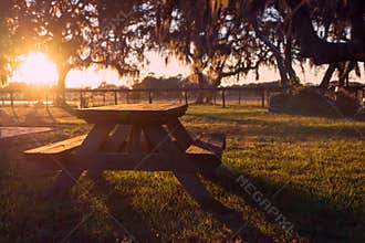 Picnic table in field