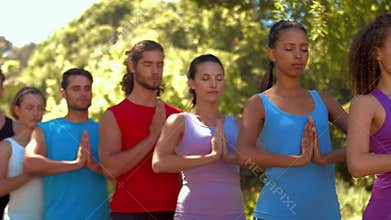Fitness group doing yoga in park on a sunny day