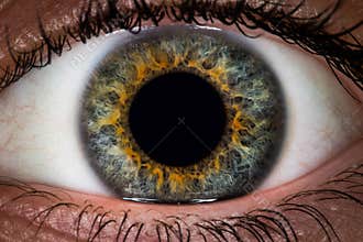 Eye Macro