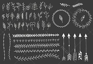 Hand drawn vintage arrows, feathers, dividers and floral elements