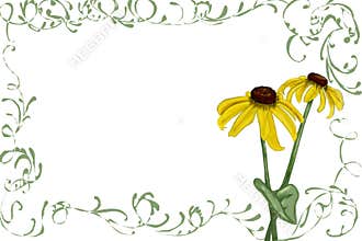 Rudbeckia with green vines
