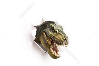 Dinosaur