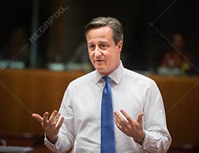 British Prime Minister David Cameron