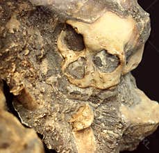 Dmanisi Archaeological site (Kvemo-Kartli, Georgia)