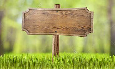 Wooden sign in summer forest grass