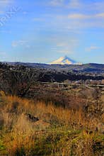 Mt Hood on Horizon