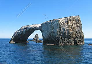 Anacapa arch, cormorants