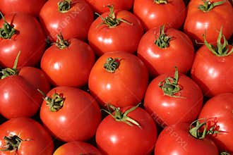 Fresh tomatos at the farmers market