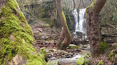 Waterfalls