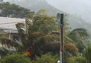Tropical hurricane, palm - trees, house.