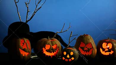 Black Cat Walking Along Halloween Pumpkins