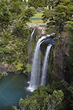 Whangarei waterfall