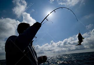 Fisherman and fish hooked