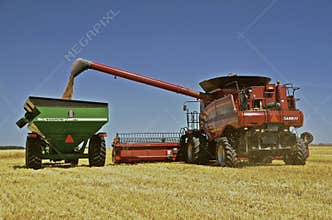 Case IHSelf propelled combines unloads grain