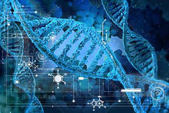 DNA molecules