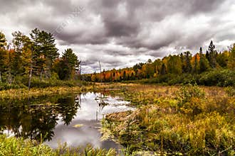 Cloudy autumn weather in Michigan