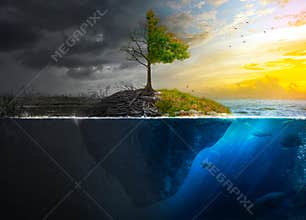 Life and death