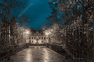 Magical autumn alley- cold silver color