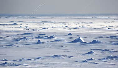 Antarctic snowfields