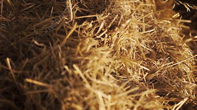 Dolly shot of a pile of straw