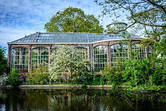 Hortus Botanicus, Amsterdam most famous botanical garden. Green nature and blue cloudy sky.
