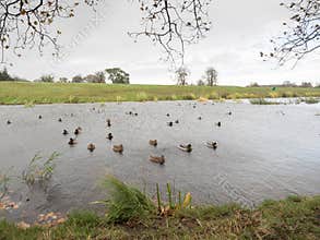 Castletown Estate, Celbridge, Kildare,Ireland