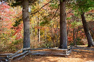 Split Rail Fence And Autumn Leaves