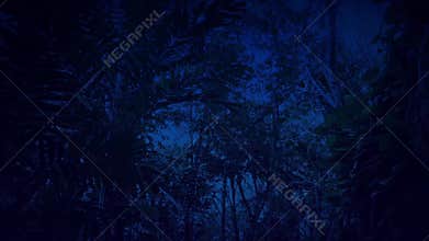 Passing Overgrown Cliff Face In Jungle At Night