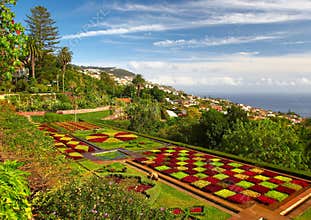 Botanical garden