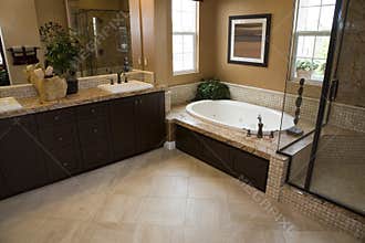 Luxury home bathroom