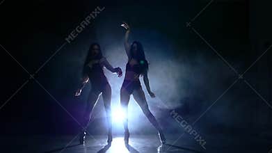 Two young striptease dancer with