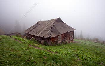 Alone cabin in the woods