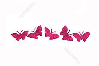 Isolated butterfly background