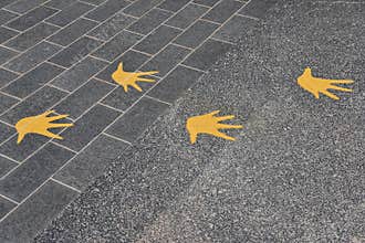 Avian Footmarks