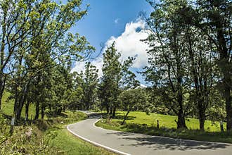 Ambewela, Nuwara Eliya Sri Lanka