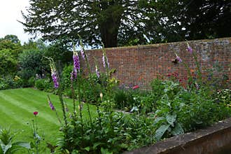 Lawn, Lupins, Flower Borders and Old Brick Walls, Tintinhull Garden, Somerset, England, UK