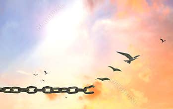 Chain Metamorphosis into Birds for Forgiveness and Spiritual Healing