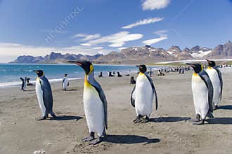 IMG_3478