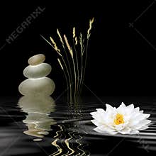 Zen Symbols