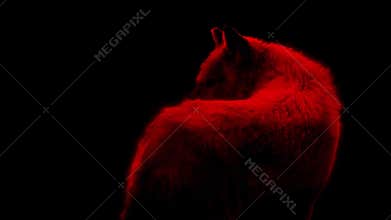 Blood Red Wolf Abstract